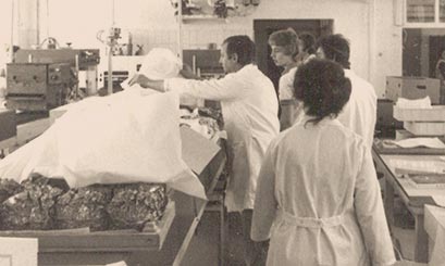 1953: Gründung 1953: Gründung